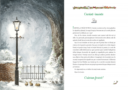 Vine Craciunul! 24 de povesti cu Tilda, Snofrid si alti prieteni [2]