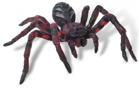 Wolf Spider, Bullyland, 2-3 ani + [1]