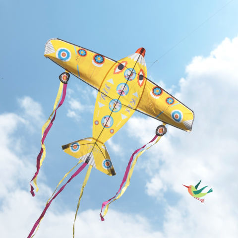 Zmeu Djeco Cel mai mare avion [4]
