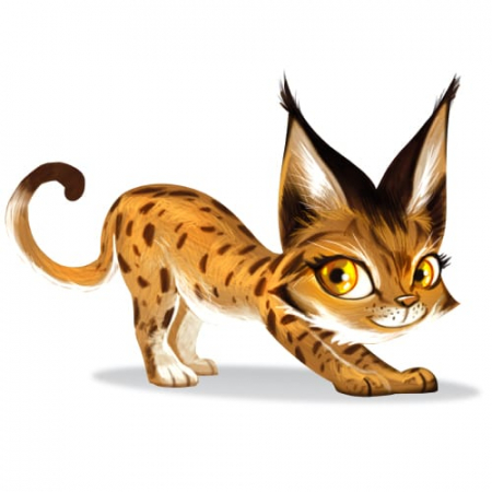 ZOO RUN, Loki, 4-5 ani + [5]