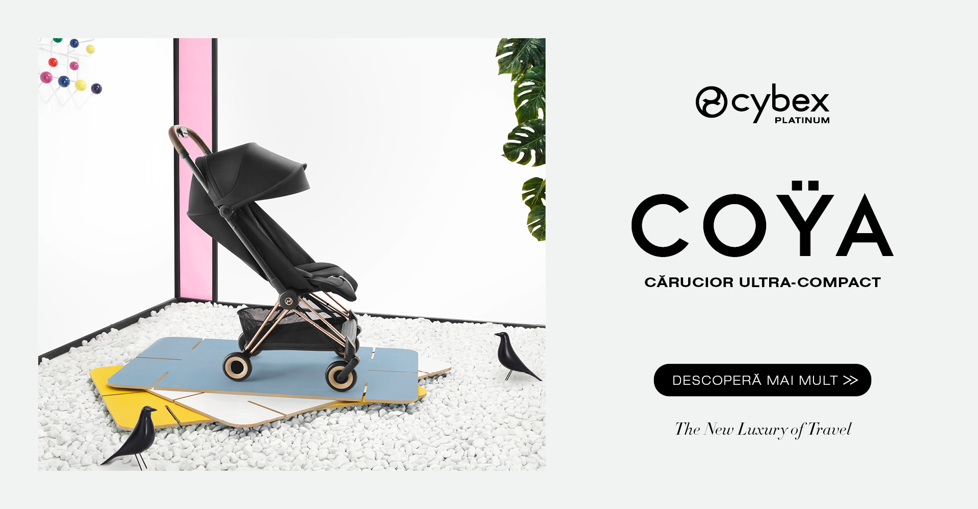 coya-desktop