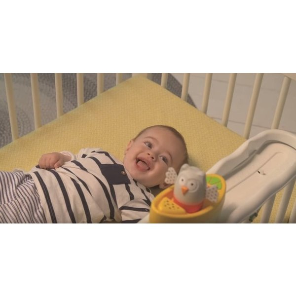 Jucarie muzicala Taf Toys Bufnita [6]