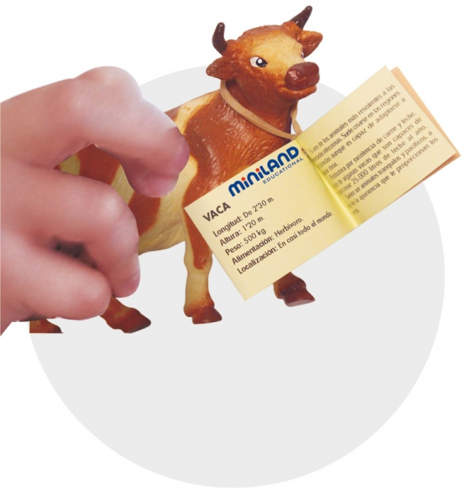 Animale domestice cu puii set de 10 figurine - Miniland [3]
