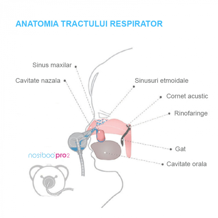 Aspirator nazal electric Nosiboo Pro2 Roz [4]