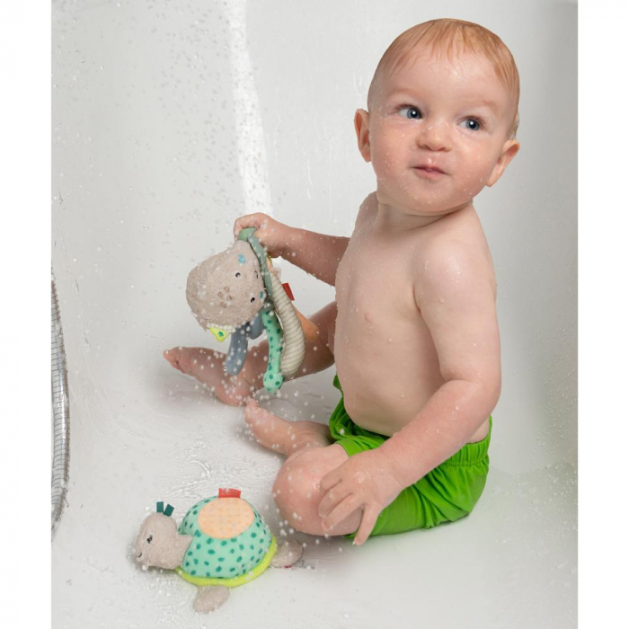 Burete pentru baita - Testoasa [5]