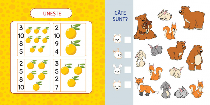 Caiet DPH Activitati matematice pentru prescolari [5]