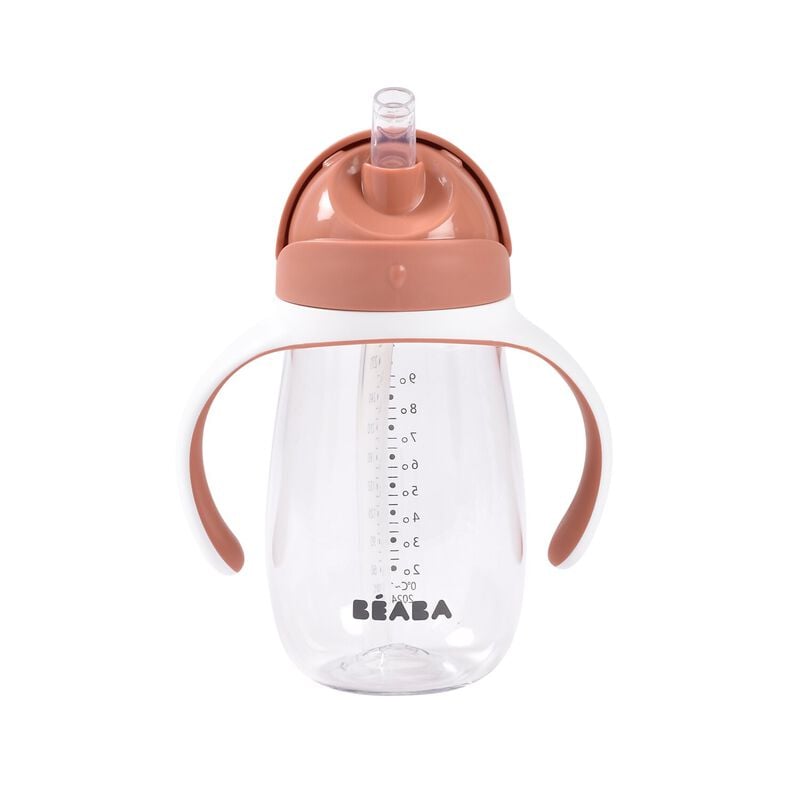 Cana cu pai din Tritan Beaba 300 ml Terracotta