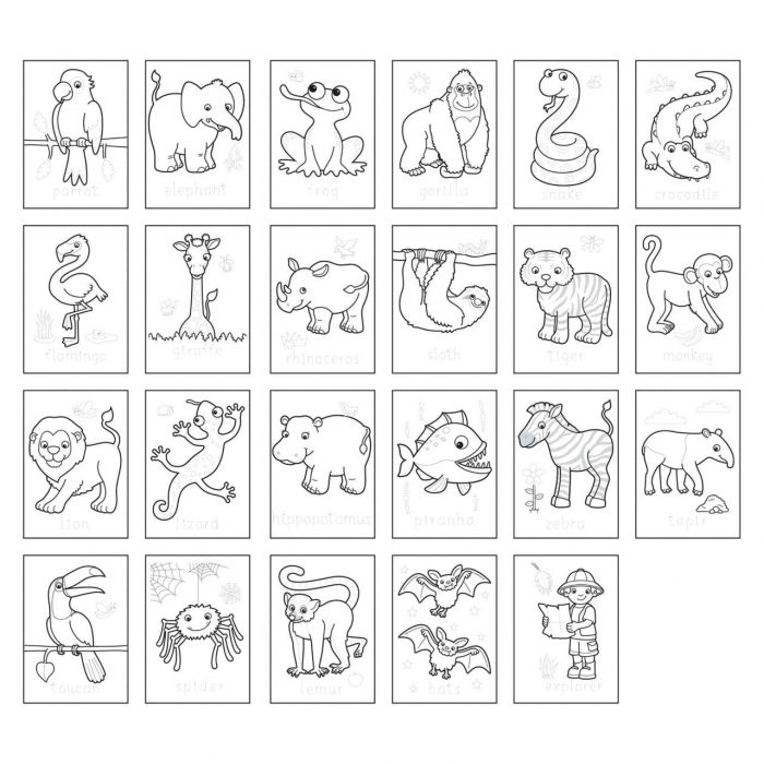 Carte de colorat cu activitati in limba engleza si abtibilduri Jungle [2]