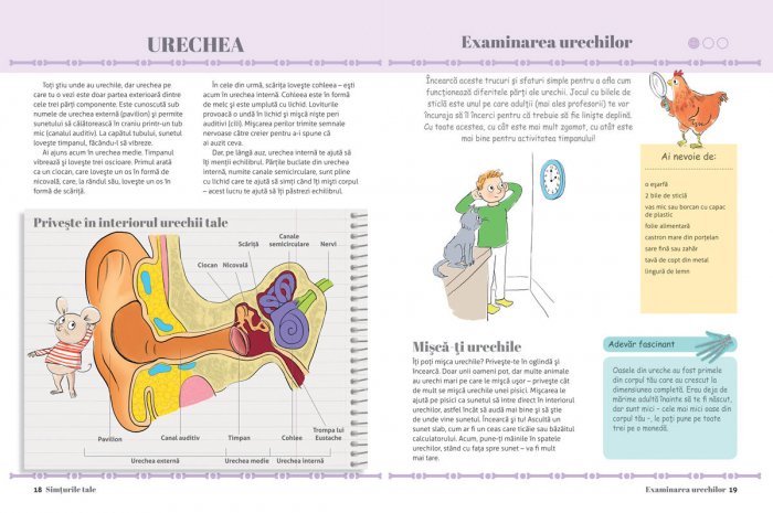 Carte DPH Prima mea carte despre corpul uman [5]