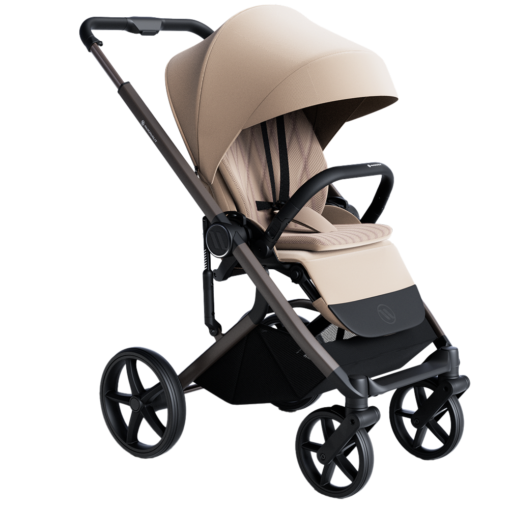 Carucior Avionaut 2 in 1 Sirius Beige [6]