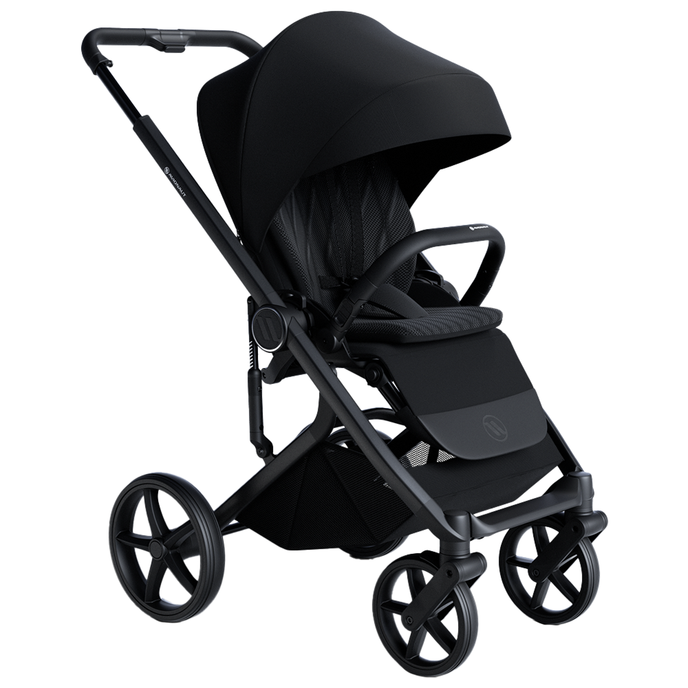 Carucior Avionaut 2 in 1 Sirius Black [6]