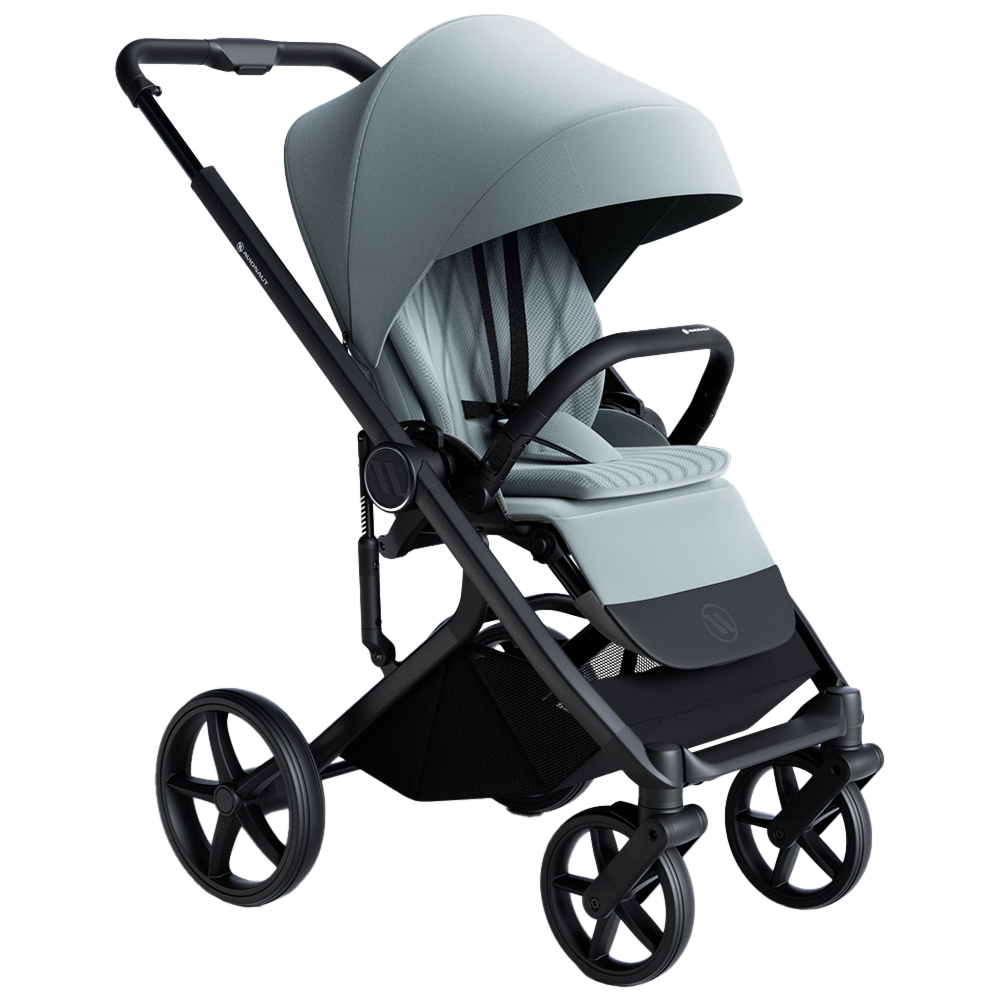 Carucior Avionaut 2 in 1 Sirius Blue [6]