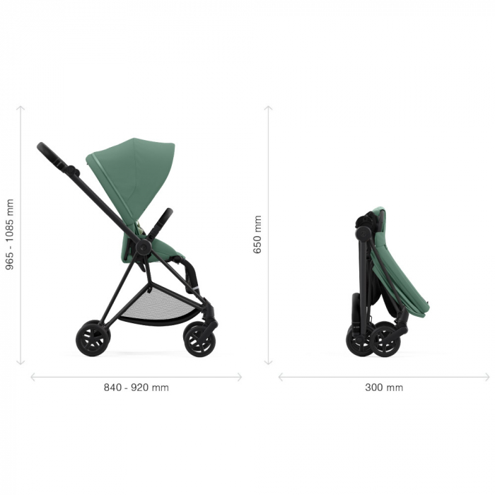 Carucior Cybex Mios 3 Leaf Green 2 in 1 [8]