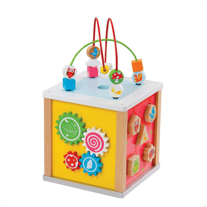 Cub din Lemn cu 5 Activitati, New Classic Toys