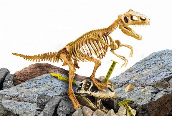 Aventura in lumea dinozaurilor - Descopera fosilele T-Rex [2]