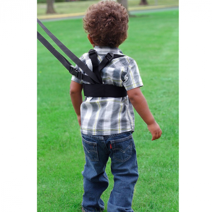 Hamuri Bebelusi Sure Steps Diono [3]