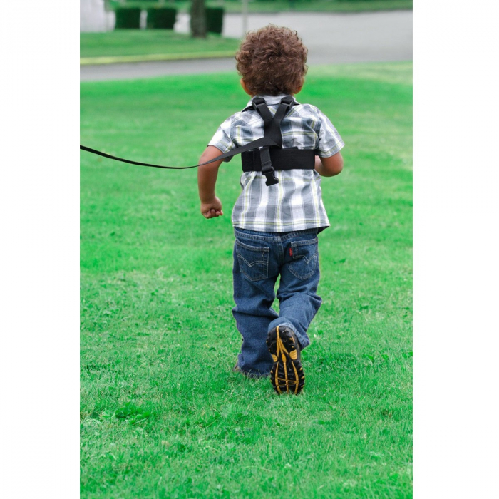 Hamuri Bebelusi Sure Steps Diono [4]