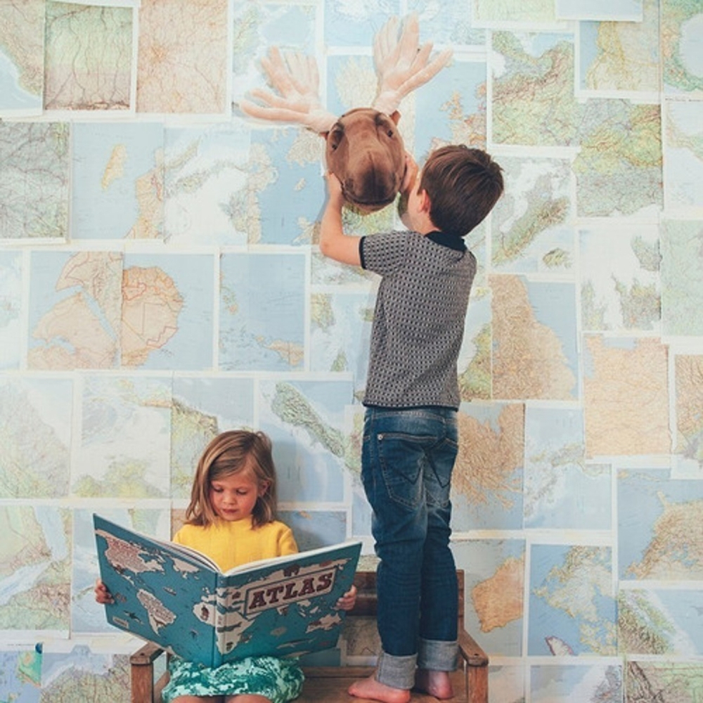 Decoratiune Cap de Elan - Alfred [4]