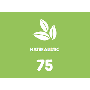 Headu Stem - Joc Explorati Viata Marina [5]