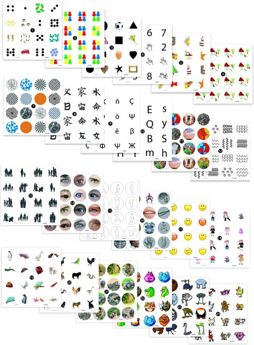 Joc de memorie 12 activitati [2]