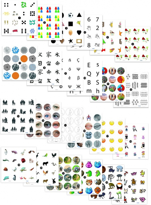 Joc de memorie 12 activitati [5]