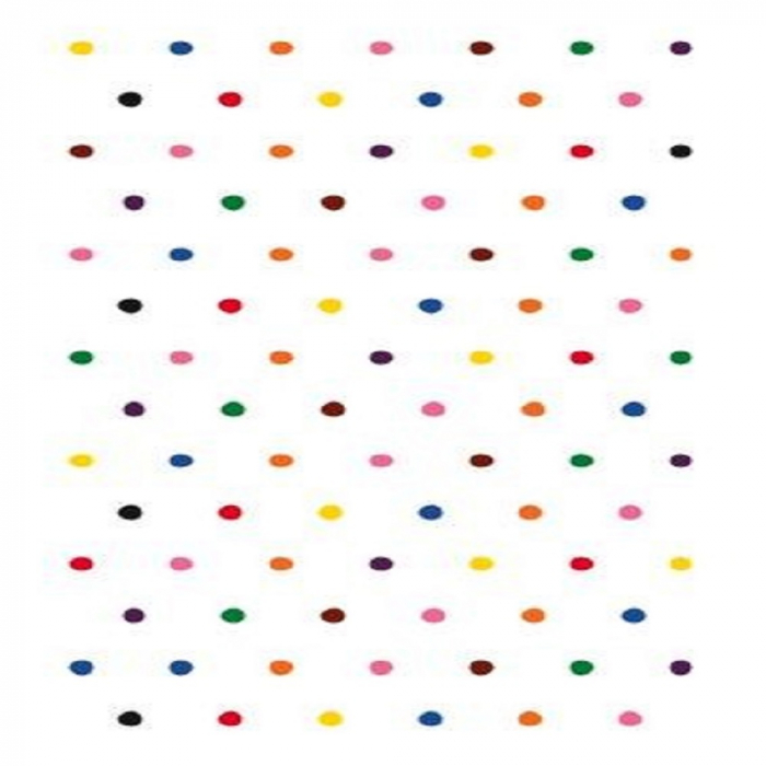 Joc DPH Explorez culorile cu Montessori 163 de jetoane [5]