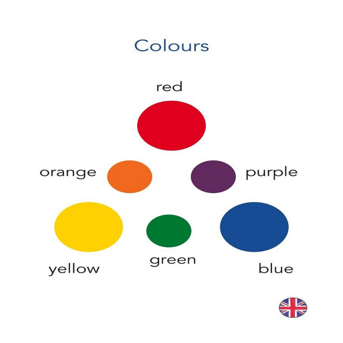 Joc DPH Explorez culorile cu Montessori 163 de jetoane [6]