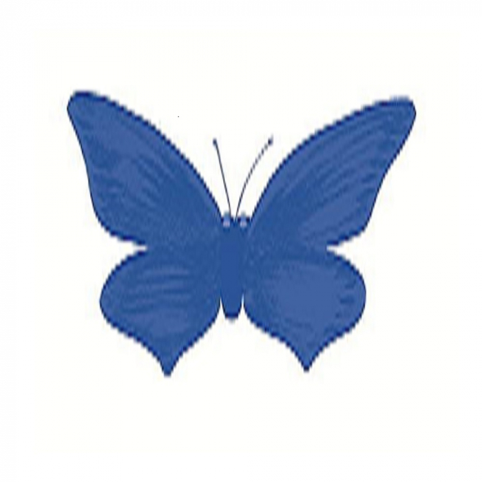 Joc DPH Explorez culorile cu Montessori 163 de jetoane [7]