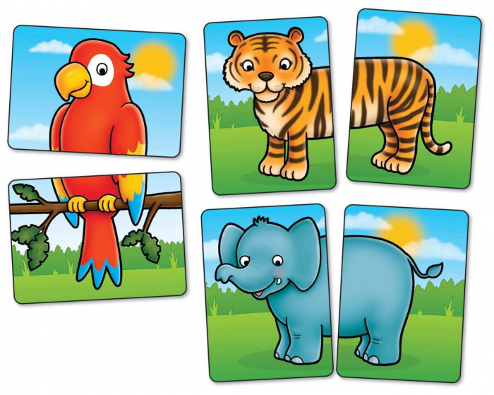 Joc educativ Jungla [2]