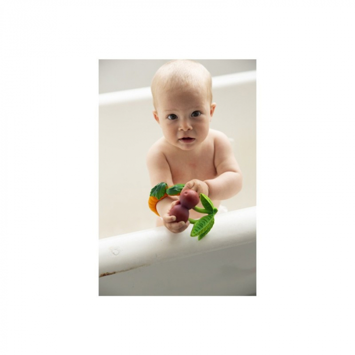 Jucarie dentitie Oli and Carol Cirese [4]