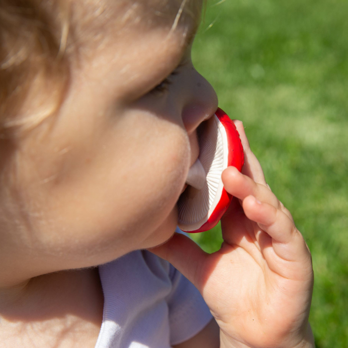 Jucarie dentitie Oli and Carol Ciupercuta Spotty [4]