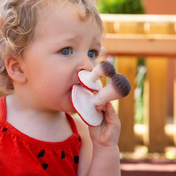Jucarie dentitie Oli and Carol Spot Ciuperca de padure [2]
