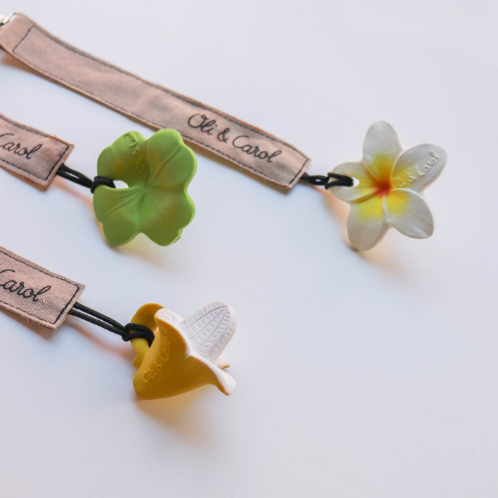 Jucarie dentitie Oli and Carol Trifoiul Eli [2]