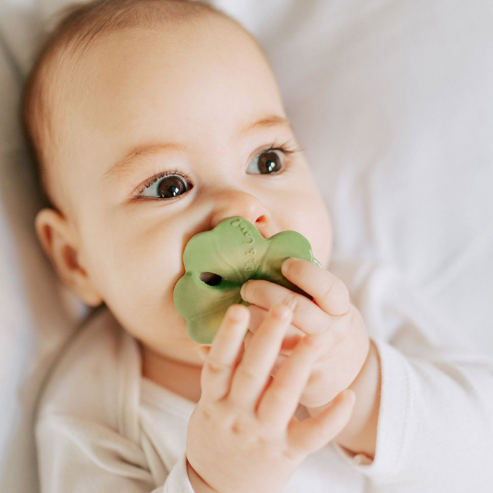Jucarie dentitie Oli and Carol Trifoiul Eli [6]