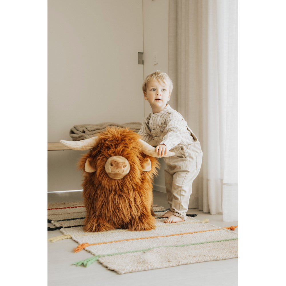 Jucarie gonflabila de sarit Wild & Soft Soft Bouncy Vaca Highland [5]