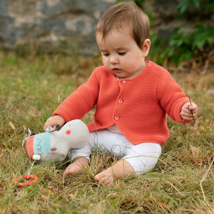 Jucarie muzicala - Hipopotam [3]