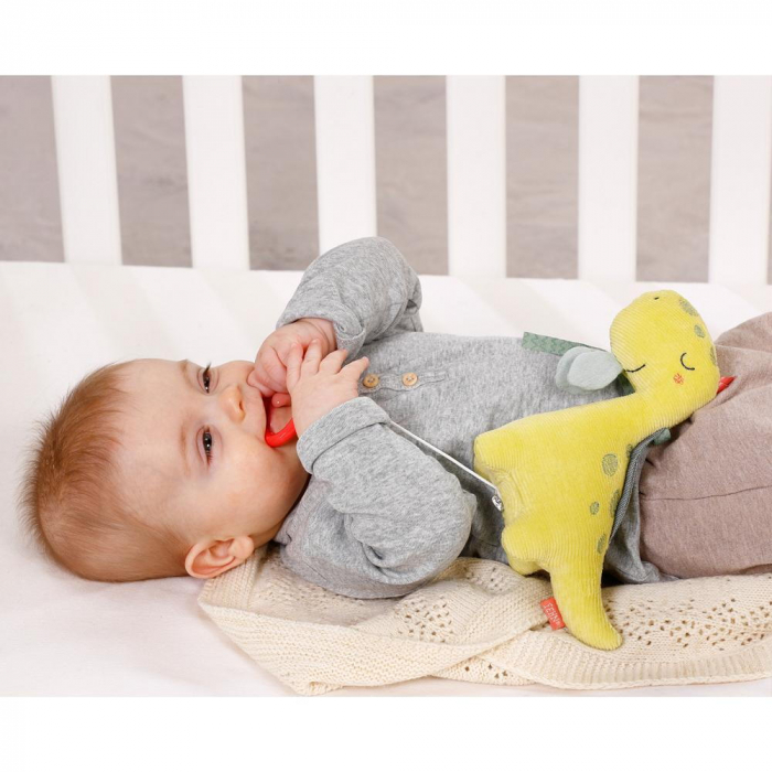 Jucarie muzicala mini - Dinozaur [3]