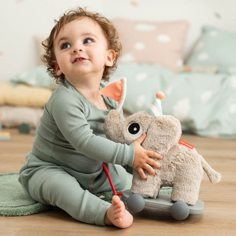 Jucarie Push Along 2 in 1 Done by Deer Elefant Sand [5]