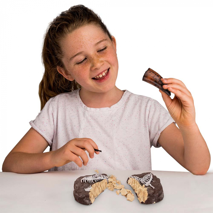 Kit Creativ National Geographic Sa Cautam Dinozauri [4]