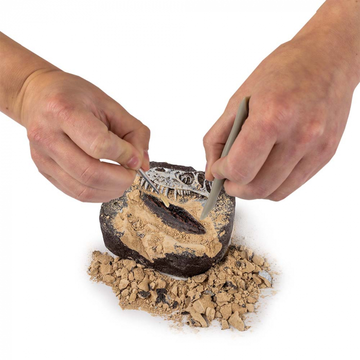 Kit Creativ National Geographic Sa Cautam Dinozauri [5]