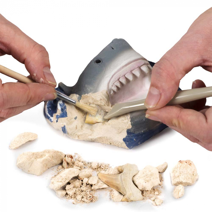 Kit Creativ National Geographic Sa Cautam Dinti De Rechini [5]