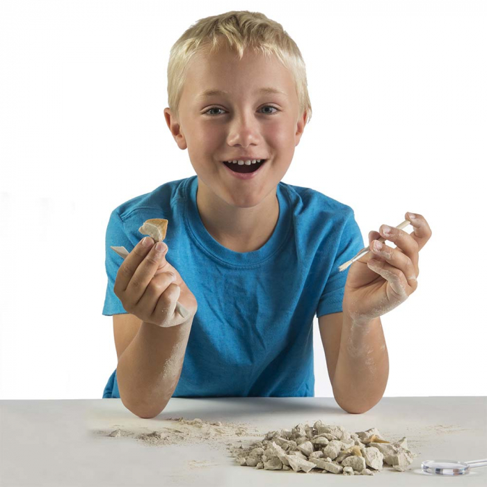 Kit Creativ National Geographic Sa Cautam Dinti De Rechini [4]