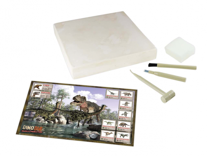 Kit de sapat Buki France Dinozaur [6]