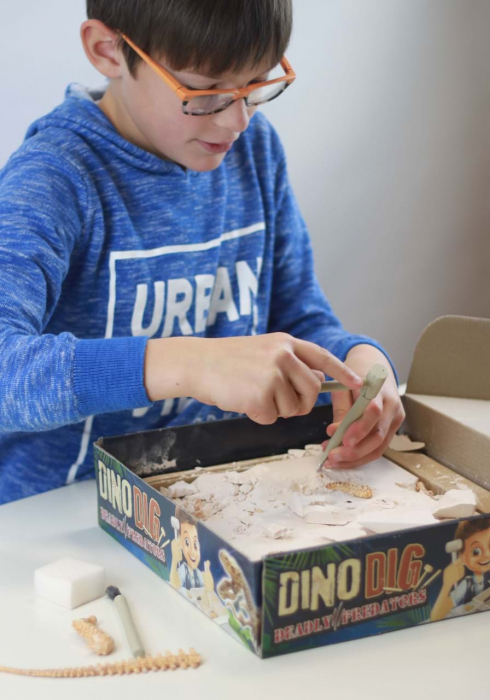 Kit de sapat Buki France Dinozaur [15]