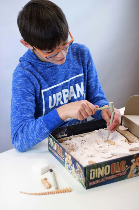 Kit de sapat Buki France Dinozaur [13]