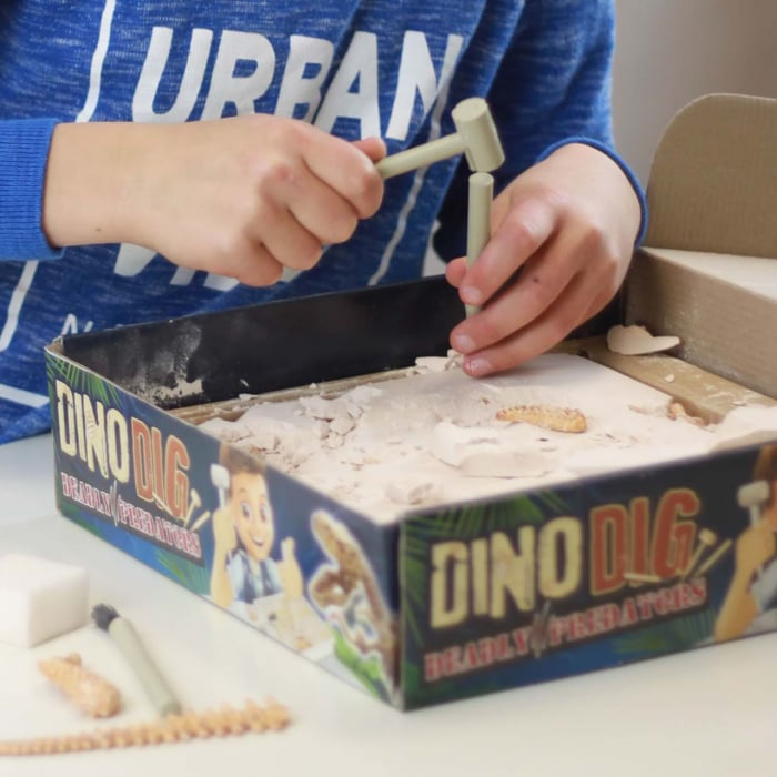 Kit de sapat Buki France Dinozaur [14]