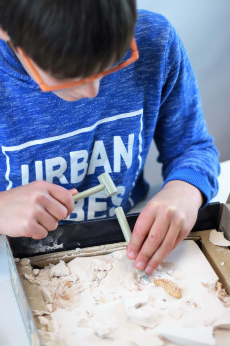 Kit de sapat Buki France Dinozaur [12]