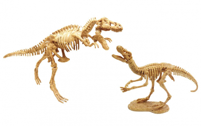 Kit de sapat Buki France Dinozaur [9]