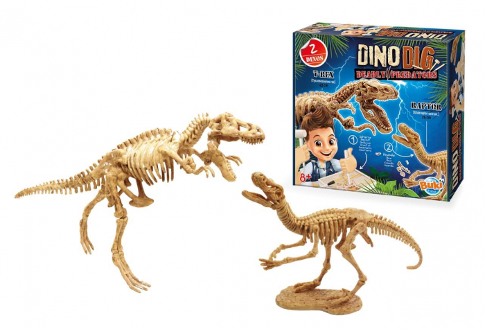Kit de sapat Buki France Dinozaur [8]