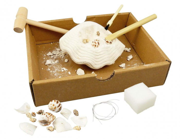 Kit de sapat Buki France Scoici [3]